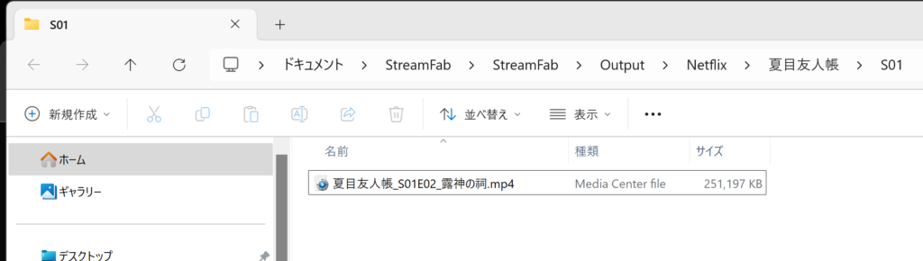 StreamFab Netflix ダウンローダーでダウンロードした動画はこのような形で保存されます。