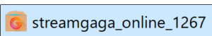 StreamGaGa Oneのセットアップファイル